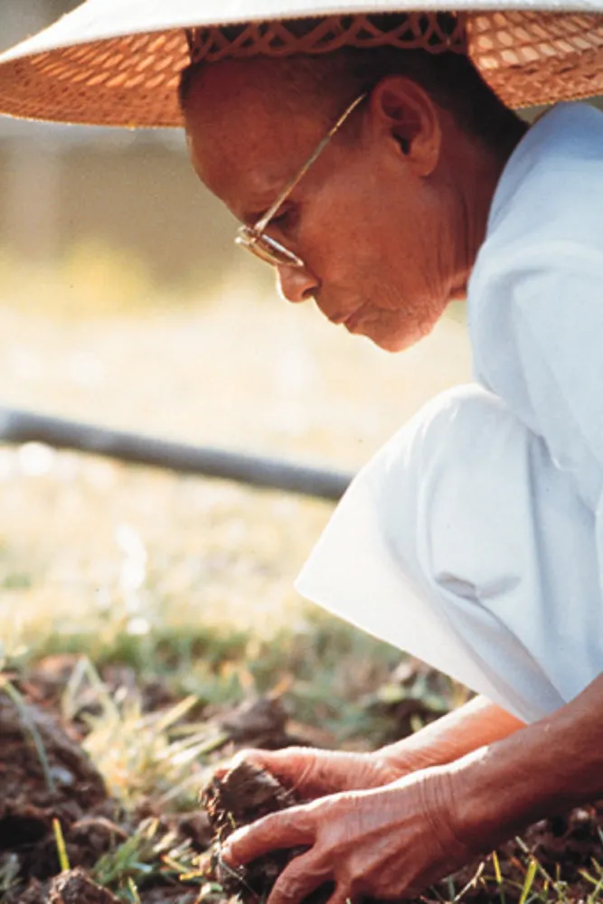 Recalling Past Life While Tilling the Soil